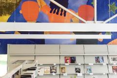 Dreamscape HP Matte Vinyl Mural Benning Road Library Renovation, Washington DC