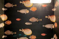 Coke & Son 97:10048 Acquario Black & Multi in Arlington, Virginia